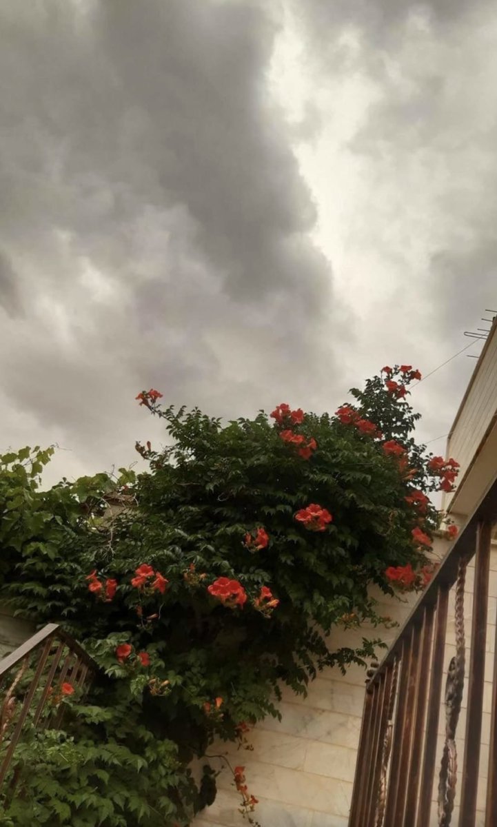 غيم ياصدري تباشر
ابتسم للنسيم
لوملاك الجرح وادمى
قول يارب وياعله
انتظر،تبي تزين
ايه ابطيت وجفت…موارد
حتى من العام الاول
واللي قبله واللي قبله
وانتظار…يهد حيل
آه يالحزن وسمومك
نجضت روح وصميم
واستفز العين ديمه
جمر له صالي حميم
ياإلاهي بيدك الديم ونزوله
اسقني وبل امنياتي
#الذهب✍🏼