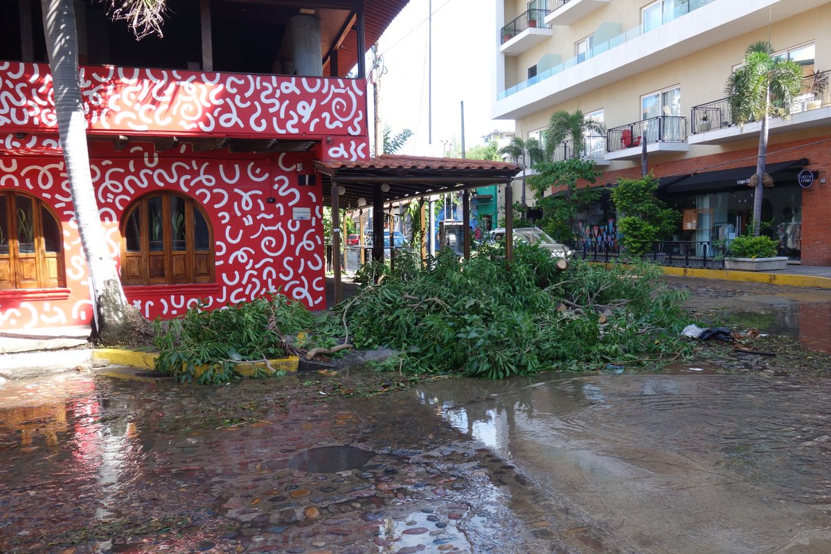 Adan Wong tweet media