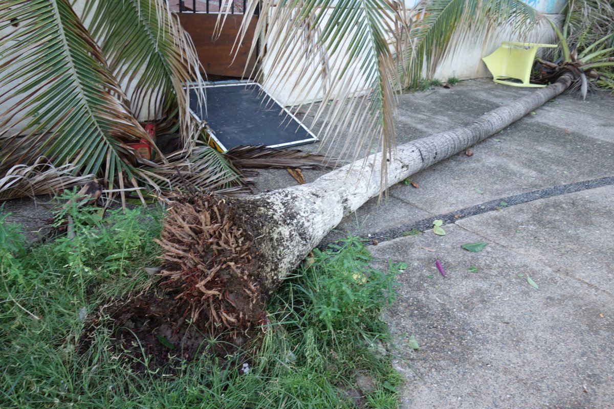 Adan Wong tweet media