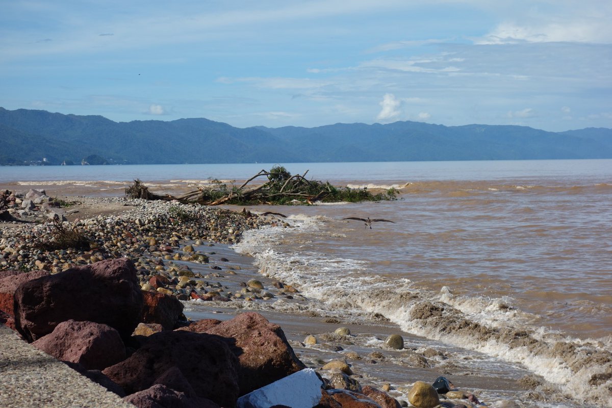 Adan Wong tweet media