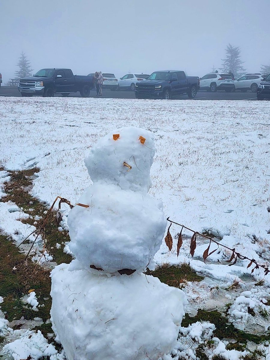 aaaxwfyncf's tweet photo. Quick walk this morning, it’s beginning to look a lot like Christmas. Reminder to keep your outdoor pets from freezing! https://t.co/MfSamr3WRA
