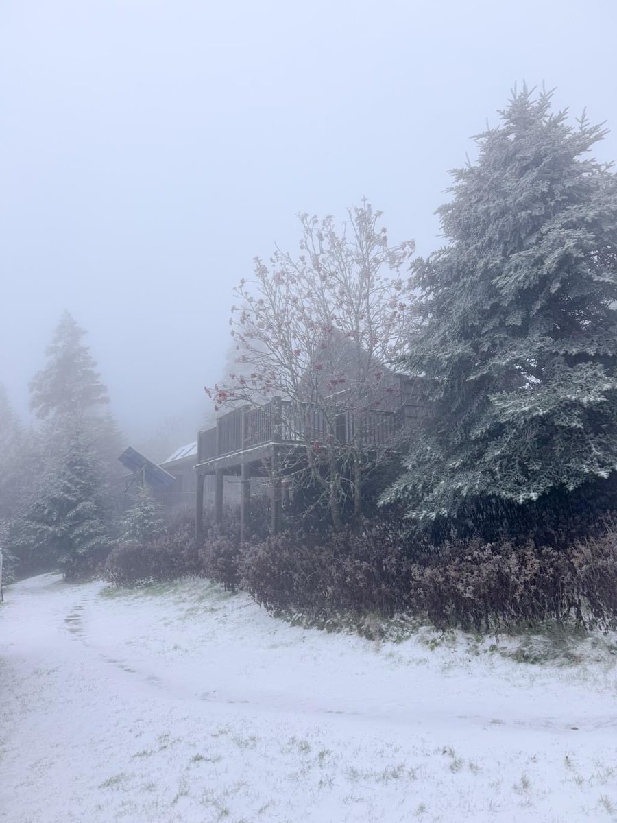 aaaxwfyncf's tweet photo. Quick walk this morning, it’s beginning to look a lot like Christmas. Reminder to keep your outdoor pets from freezing! https://t.co/MfSamr3WRA