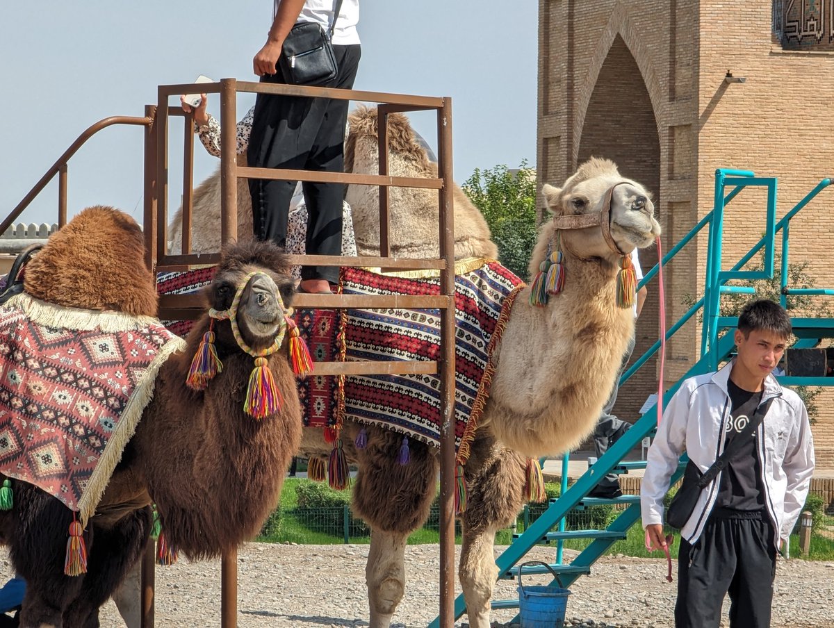 Schnowflake tweet media