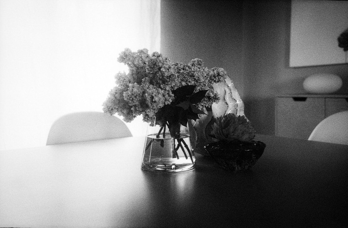 Flowers and water, 2023, France 🎞️

Canon 7 and Fomapan400