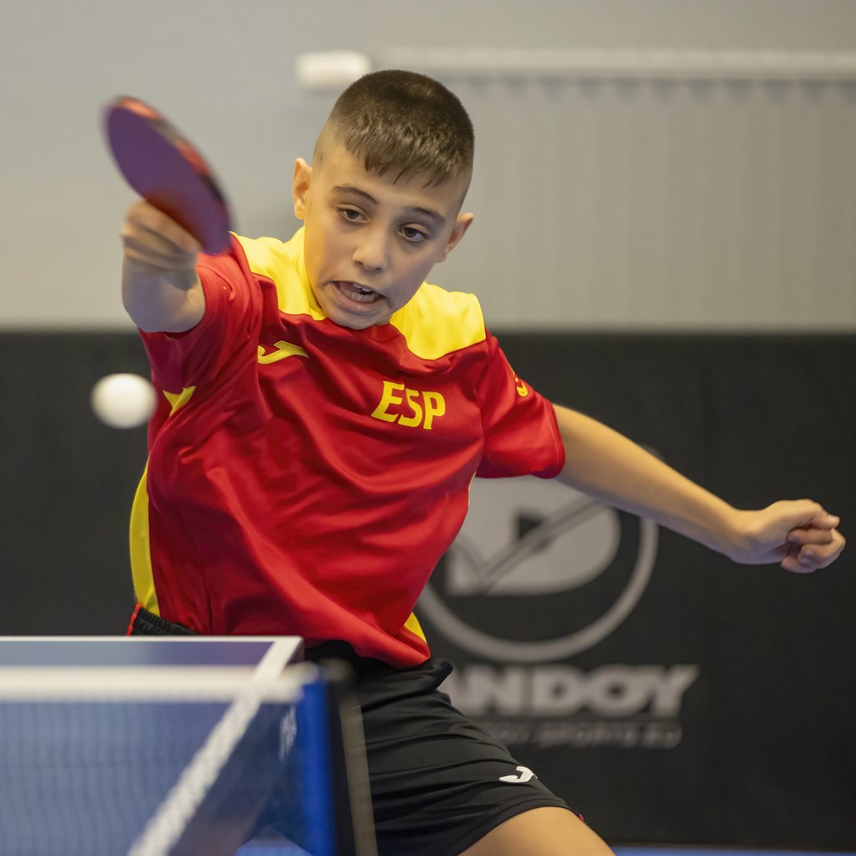 rfetm_tenismesa's tweet photo. ¡Aseguran una medalla 🇪🇸! 💪🏻
Alexander Malov y Ladimir Mayorov avanzan a las SEMIFINALES del Stiga #MiniMasters
Malov🇪🇸 vs Jean 🇫🇷
Mayorov🇪🇸 vs Clin🇫🇷
⏰ 13:20 https://t.co/uTjXfCwjTB