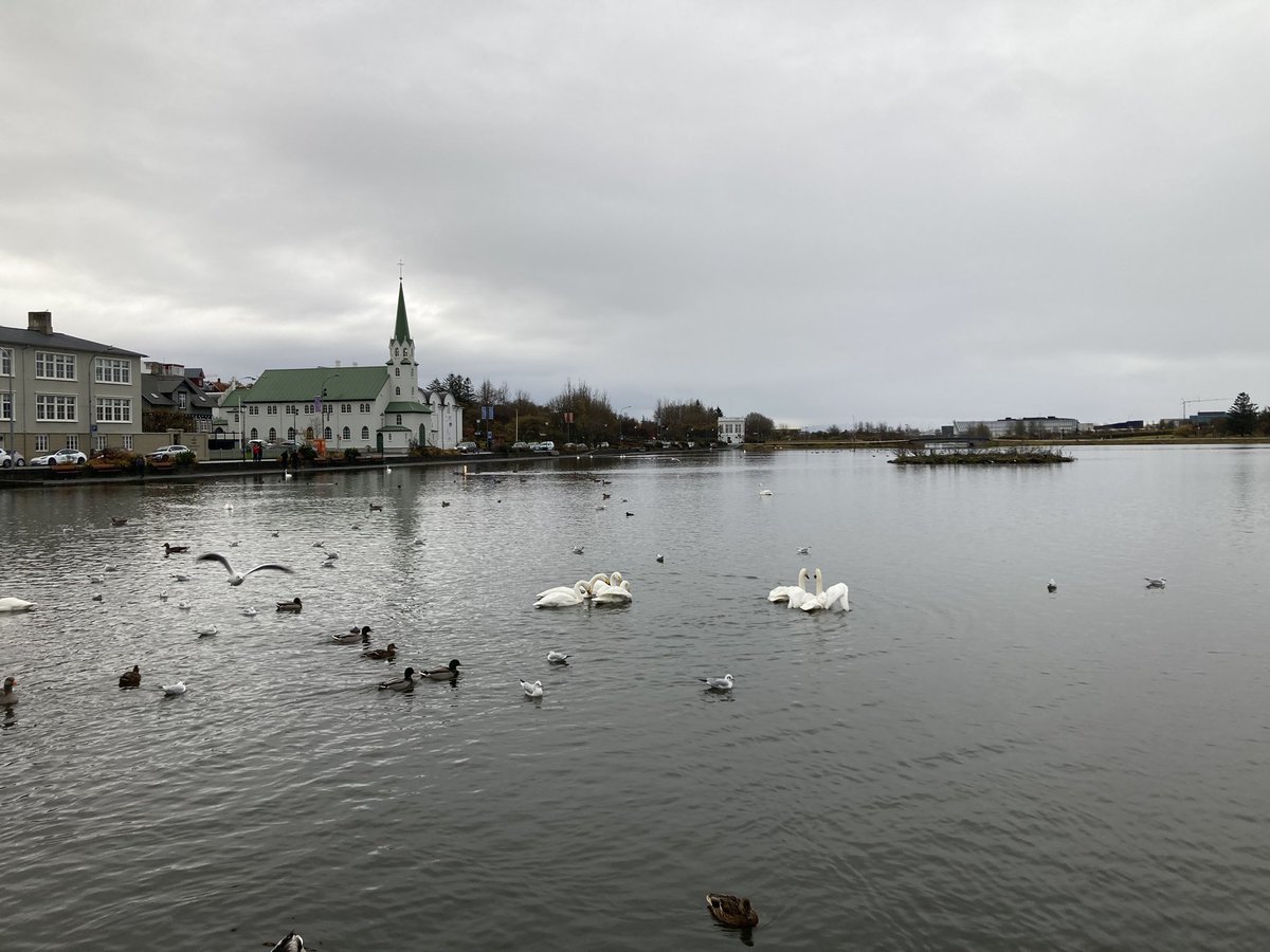 We spent our final morning in Reykjavik, the most northern capital city in the world. @DTW_Education <a href="/mrdavidwatkins/">David Watkins 🌍</a> <a href="/sjcrmain/">St Joseph's College</a>