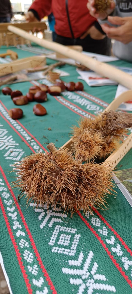 AcoaAke's tweet photo. Giro ederra #Apilaiz|ko #kontzeju|ko Gaztainaren Jaialdian 🌰  Buen ambiente en la Fiesta de la Castaña del #concejo de #Apellaniz

#ArraiaMaeztu 🌳 @MontanAlavesa @mendialdeatour #Araba https://t.co/ocdxRnIj5E
