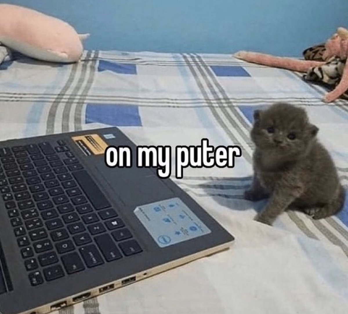 nocontextmemes's tweet photo. https://t.co/2t9xrwLqUJ