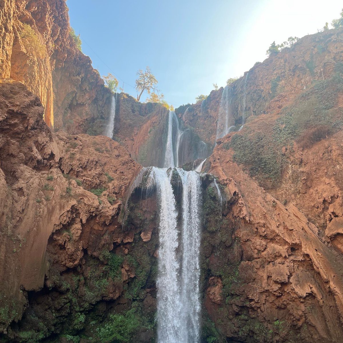 Gemma Gibson tweet media