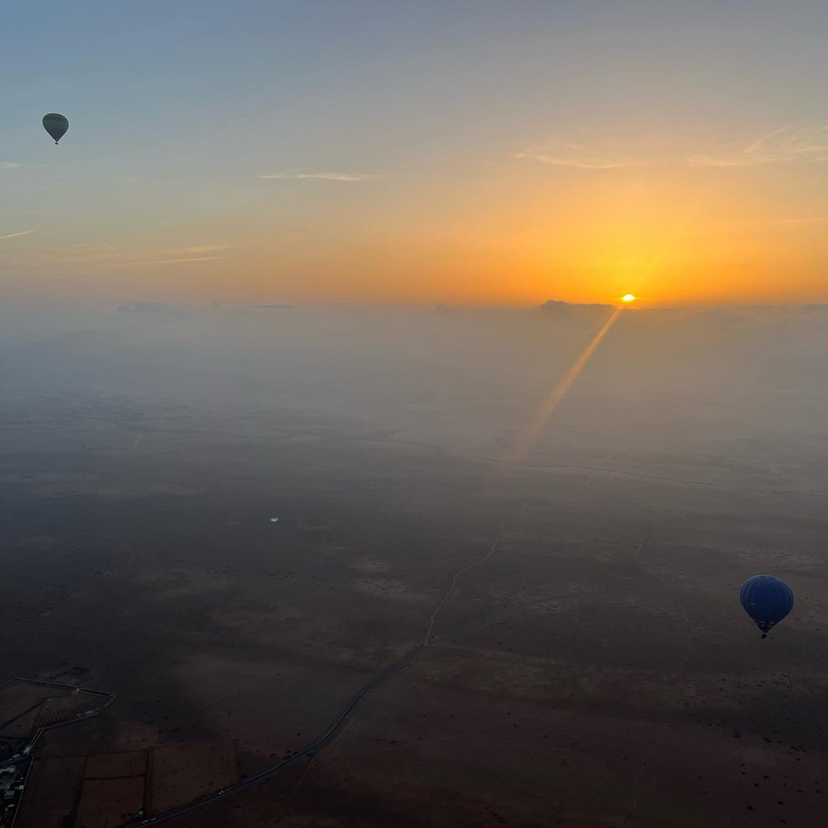 Gemma Gibson tweet media