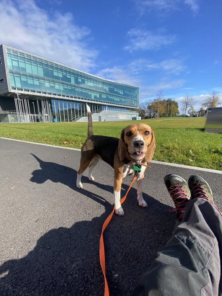 Edelle Doherty tweet media