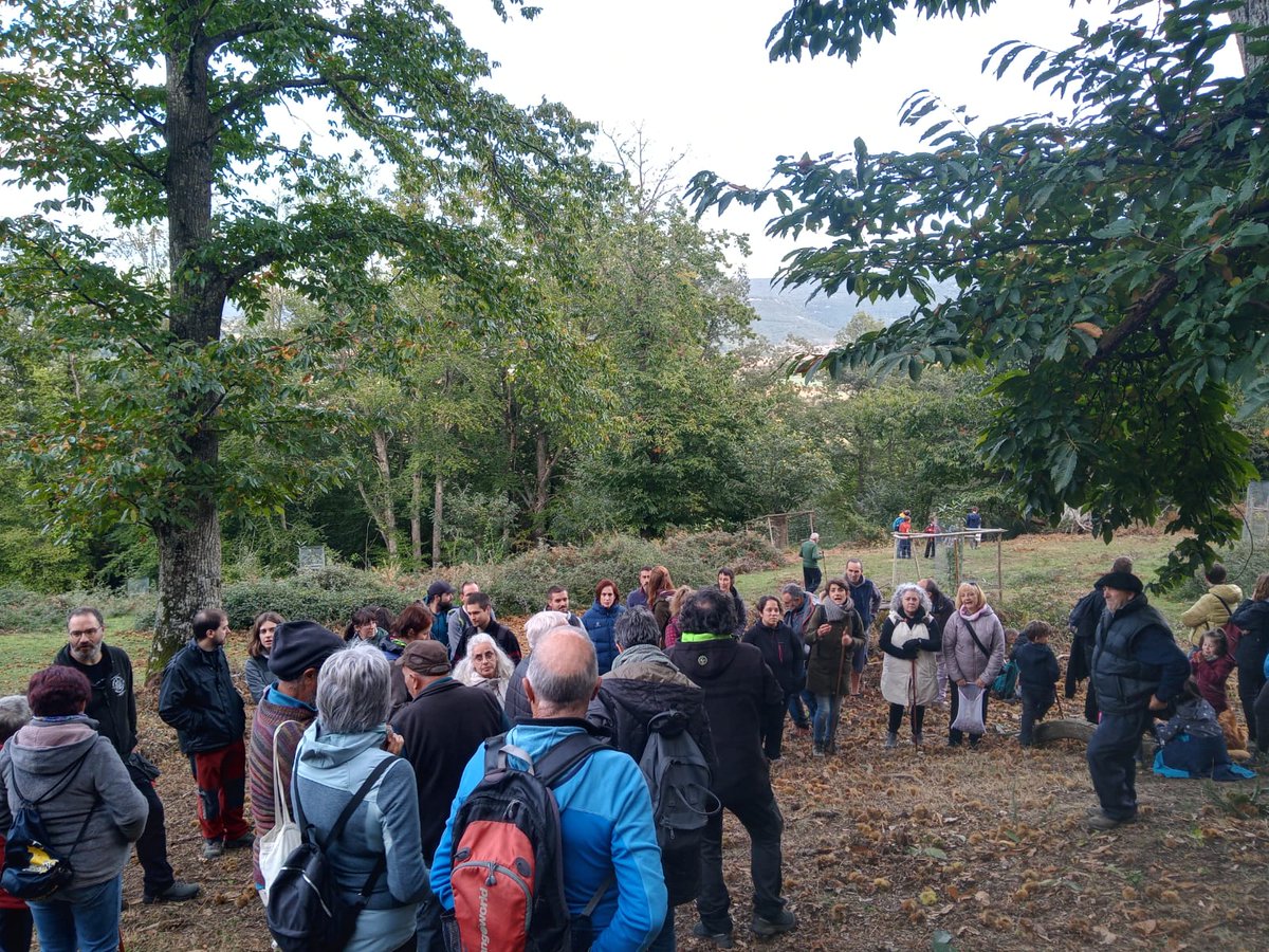 AcoaAke's tweet photo. Eta atzo bisitaldiak....🌳 Y ayer también hubo visitas a los castañares

#Apellaniz #Apilaiz #kontzejuak #concejos

#ArraiaMaeztu @MontanAlavesa https://t.co/4XkThn5FWD