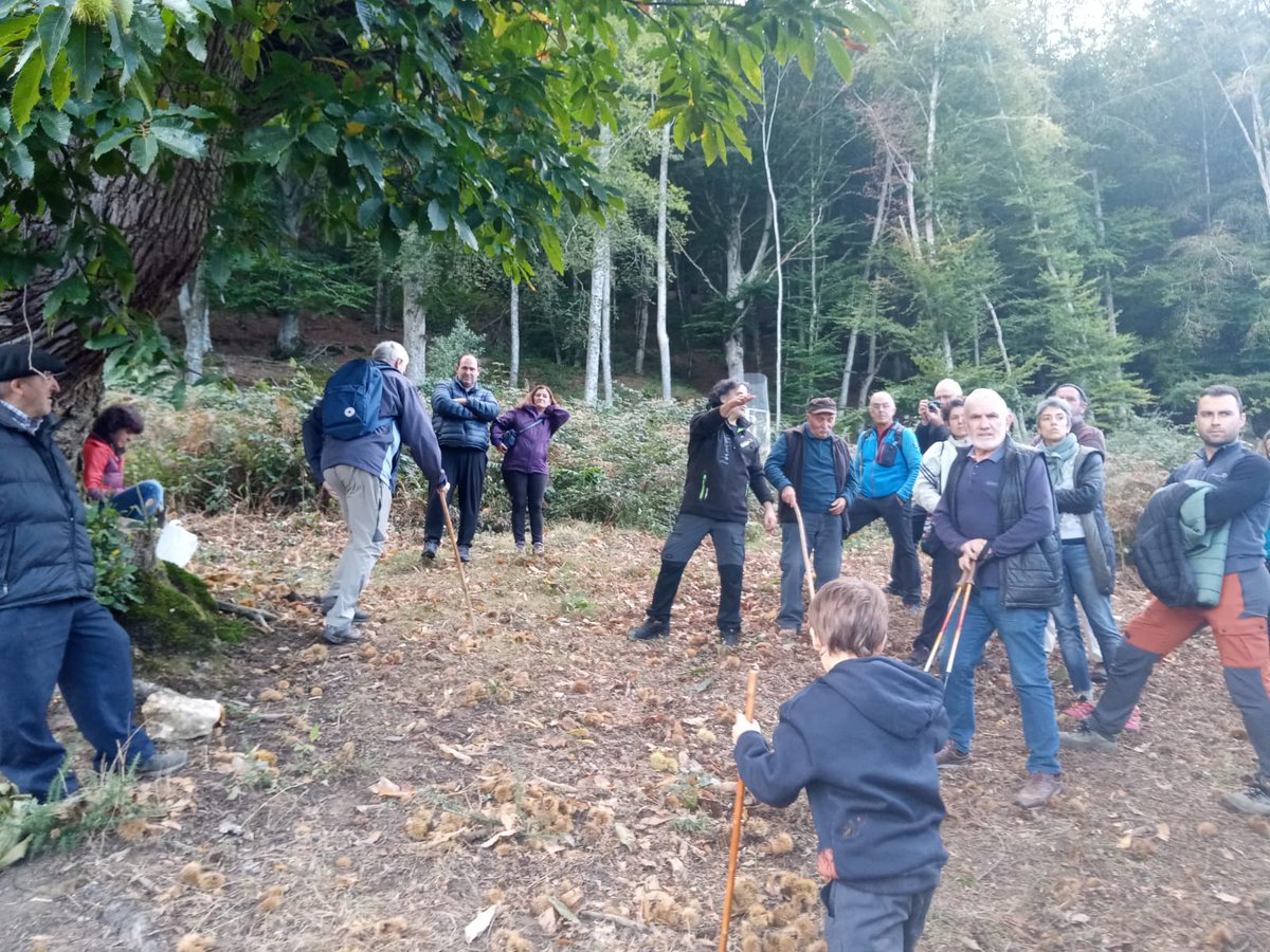 AcoaAke's tweet photo. Eta atzo bisitaldiak....🌳 Y ayer también hubo visitas a los castañares

#Apellaniz #Apilaiz #kontzejuak #concejos

#ArraiaMaeztu @MontanAlavesa https://t.co/4XkThn5FWD