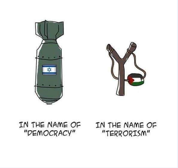 خلیل احمد tweet media
