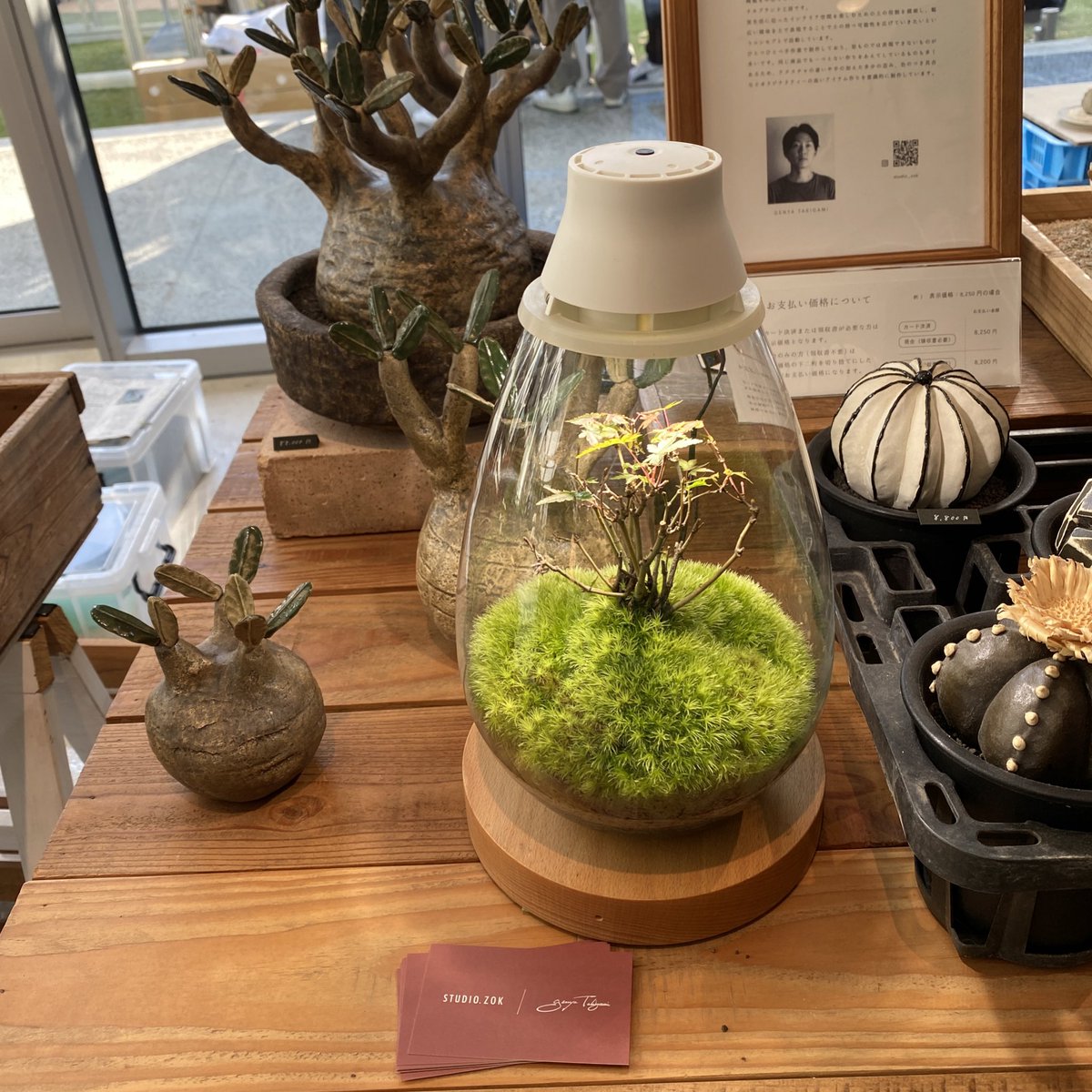 mosslight1955's tweet photo. #天下一植物界2023
無事に終了しました

運営スタッフの皆さま、出展者の皆さま、ご来場頂きました皆さま、ありがとうございました。

とても気持ちいい楽しい２日間でした。

ZOKさん、SINさん、京セラさん
撮影協力ありがとうございました。

#天下一植物界　#Mosslight https://t.co/9z0DbEGzC8