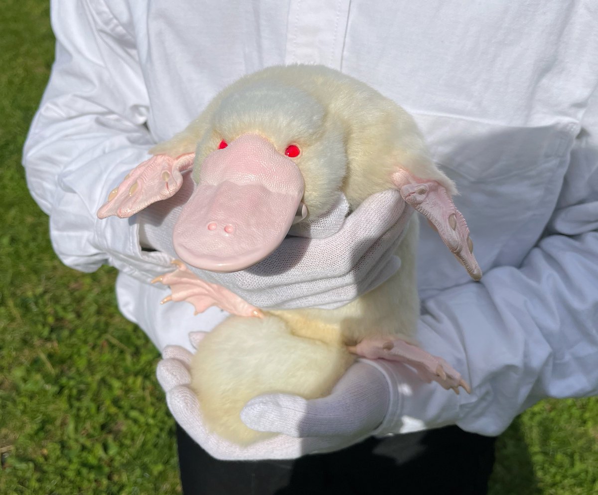 F9CjvhxagAAlSw9.jpg?format=jpg