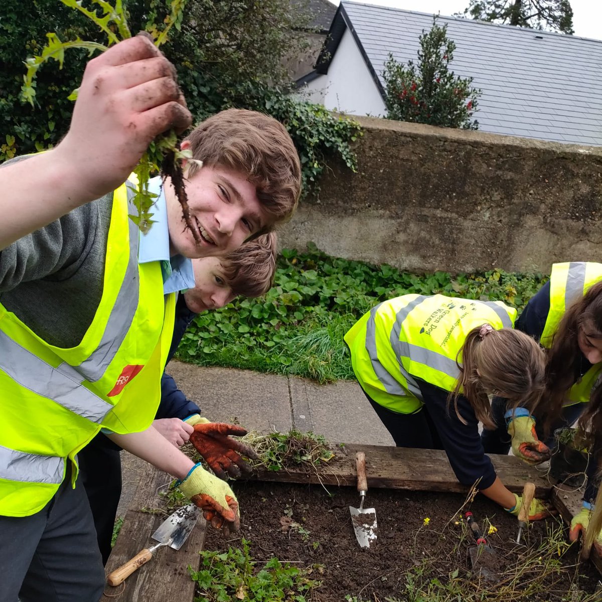 Digging deep #climateactionweek Our Biology students getting hands on with the Wexford Edible towns project Prepping beds, collecting seeds for our garden composting & tasting the spoils of the season
@climate_ambass @GreenSchoolsIre @wexfordtidytown @SETUHort  #community #care