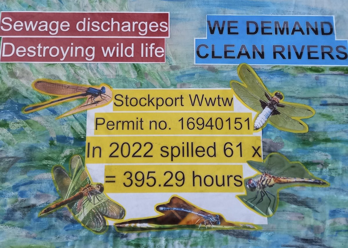 WIDidsbury's tweet photo. Didsbury Village WI support the Clean Rivers campaign. Stop sewage overflow now.  Save dragonflies and our Mersey wildlife. https://t.co/ac3kZGBy03