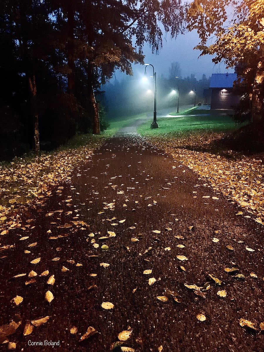 BolandC's tweet image. Warm October nights are a gift. Water glistened like diamonds under bright light. I heard footsteps. A dog barked. Fog smells like salt water, cigarette smoke, and the worn pages of a mystery novel.
Bartlett’s Point Park, #CornerBrook #ExploreNL #ShareYourWeather #Nlwx