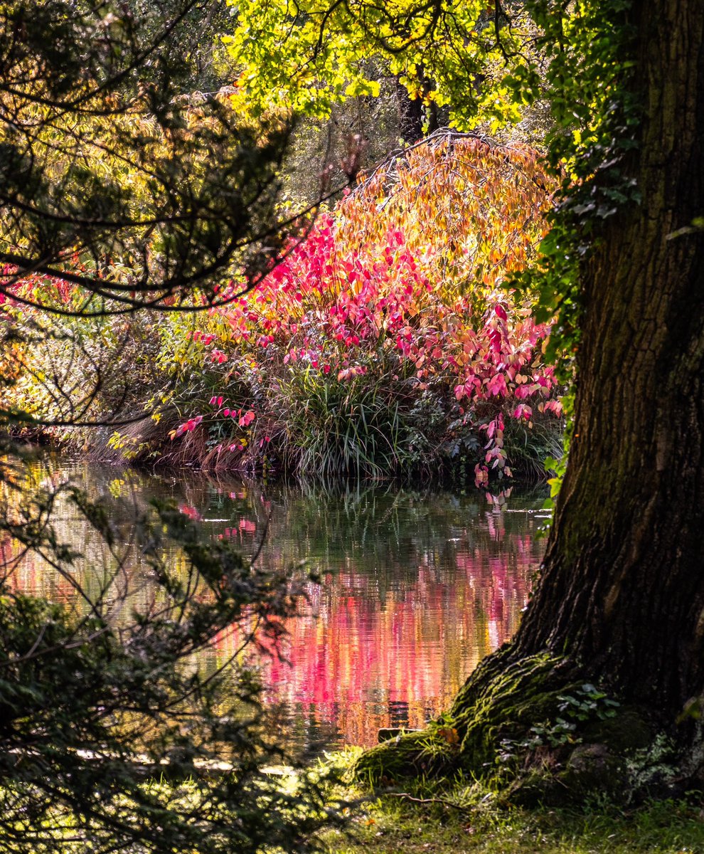P050840's tweet photo. Well worth a visit this time of year #thorpperrow https://t.co/oGL9CERddM