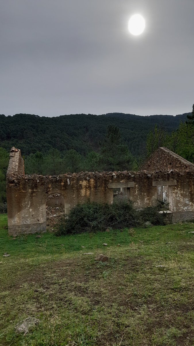 Luisiga18966671 tweet picture