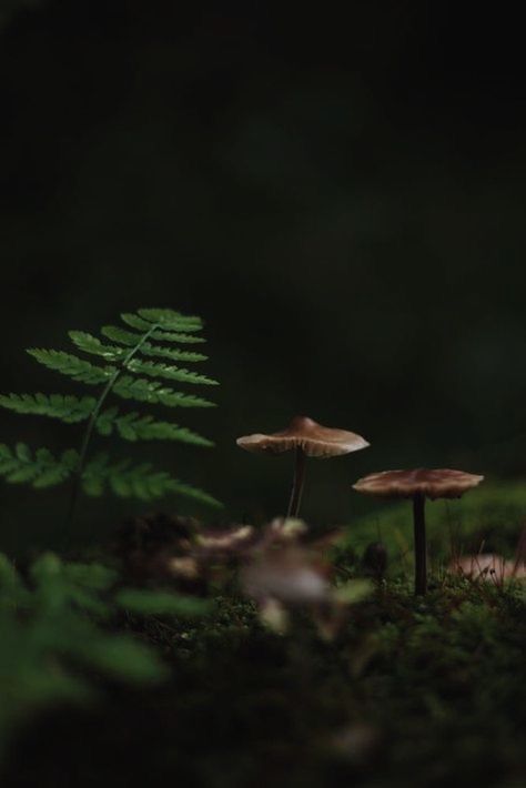 SnowOPleopard's tweet image. ~Nɪɢʜᴛᴍᴀʀᴇs ᴄᴀɴ ᴄᴏᴍᴇ ᴛʀᴜᴇ﹐ I sᴜʀᴠɪᴠᴇᴅ t̙̒h̤͕̭͖̟̆͆̓̃ͮë́̅́ ̀̓̈́ͨͤͭ̽͜h͉͔͔e̺̠̺̻͖͎̫l͎̿l͍̲͖͈ͯͥ̅ͪ﹐ I ᴋɴᴏᴡ ᴡʜᴀᴛ I·ᴍ ᴛᴀʟᴋɪɴɢ ᴀʙᴏᴜᴛ~

※ 𝐸𝑥-𝘩𝑖𝑟𝑒𝑑 𝑘𝑖𝑙𝑙𝑒𝑟 ⊱ 𝑃𝑖𝑟𝑎𝑡𝑒
※ 𝖱𝖯 𝗌𝗉𝖺𝗇𝗂𝗌𝗁 &amp;amp; 𝖾𝗇𝗀𝗅𝗂𝗌𝗁
※ OPᴠᴇʀsᴇ

¿♡ ﹠ ↺?