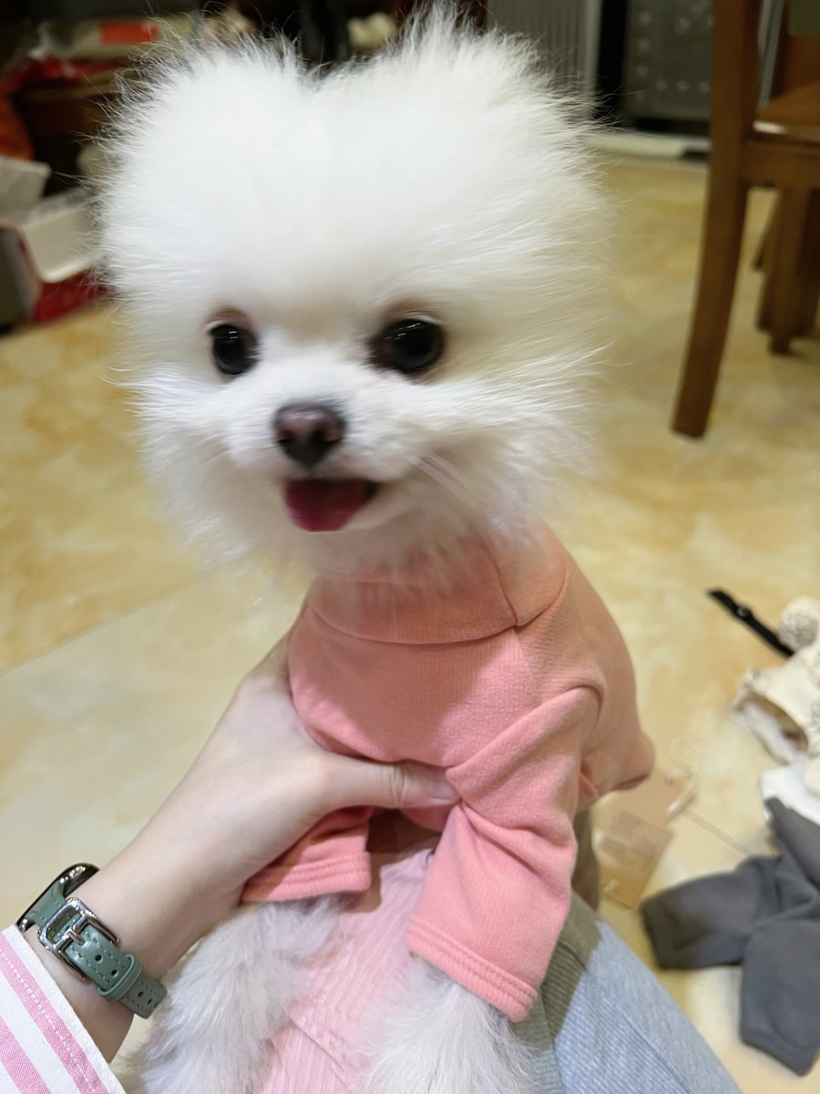 分享一下试新衣服的少女包！