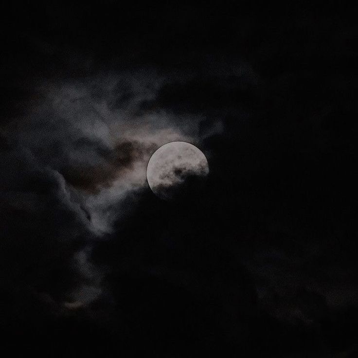 SnowOPleopard's tweet image. ~Nɪɢʜᴛᴍᴀʀᴇs ᴄᴀɴ ᴄᴏᴍᴇ ᴛʀᴜᴇ﹐ I sᴜʀᴠɪᴠᴇᴅ t̙̒h̤͕̭͖̟̆͆̓̃ͮë́̅́ ̀̓̈́ͨͤͭ̽͜h͉͔͔e̺̠̺̻͖͎̫l͎̿l͍̲͖͈ͯͥ̅ͪ﹐ I ᴋɴᴏᴡ ᴡʜᴀᴛ I·ᴍ ᴛᴀʟᴋɪɴɢ ᴀʙᴏᴜᴛ~

※ 𝐸𝑥-𝘩𝑖𝑟𝑒𝑑 𝑘𝑖𝑙𝑙𝑒𝑟 ⊱ 𝑃𝑖𝑟𝑎𝑡𝑒
※ 𝖱𝖯 𝗌𝗉𝖺𝗇𝗂𝗌𝗁 &amp;amp; 𝖾𝗇𝗀𝗅𝗂𝗌𝗁
※ OPᴠᴇʀsᴇ

¿♡ ﹠ ↺?