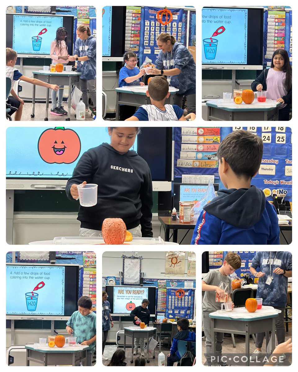 Team 203 had so much fun creating pumpkin volcanoes! We made predictions, conducted the experiment and learned about matter, chemical changes and how the structure of a volcano changes the eruption. Earthquake experiments next! #4thGrade <a href="/VS13UFSD/">ValleyStream13UFSD</a> <a href="/JamesADever/">James A Dever</a>