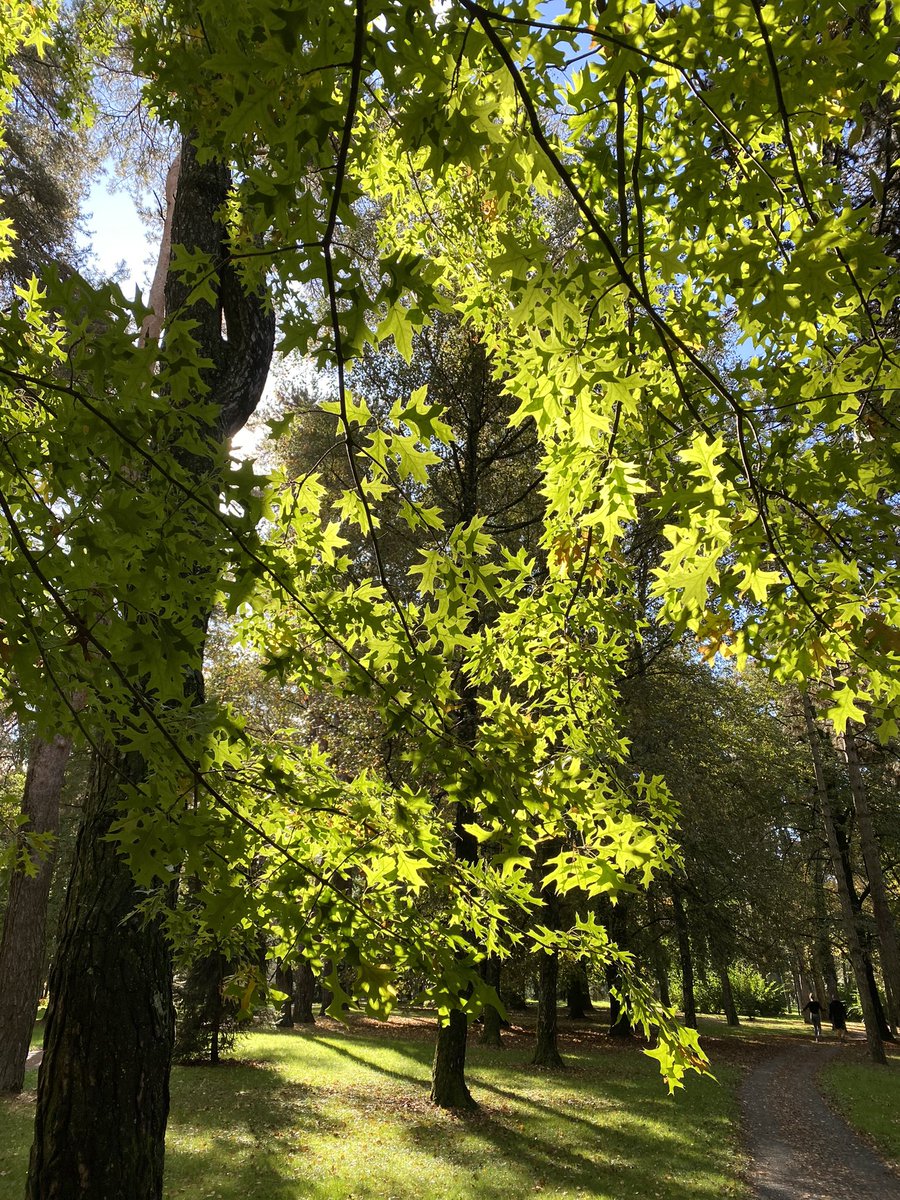 slavica_sirec's tweet image. #šetnja