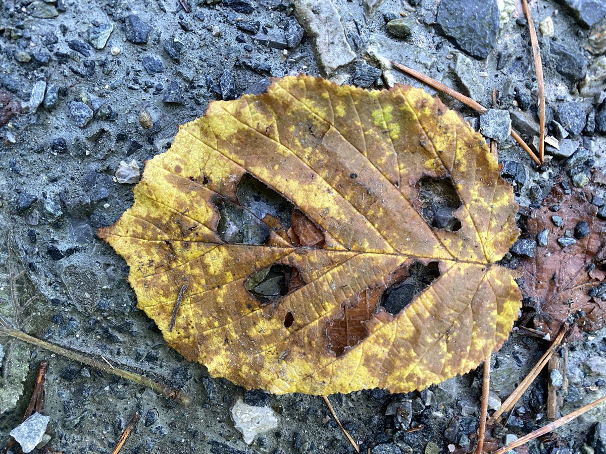 slavica_sirec's tweet image. #šetnja