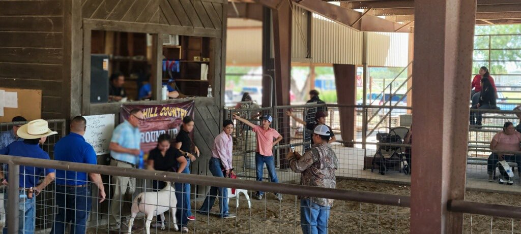 We had two students compete at the hill country roundup Saturday. One placing 4th in the dorper division and one placing 1st and reserve grand champion dorper. Congratulations to them both!! We are proud of you guys. 🤠🦉<a href="/McAllenISDCTE/">McAllen ISD CTE</a>
