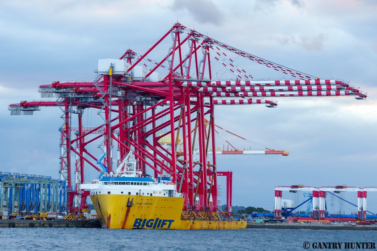 GANTRY_HUNTER's tweet photo. #機体観察 海外機出荷の為に来ている #BIGLIFT BARENTSZですが、本日4基目(写真は昨日撮影なので3基)が載った様ですね。更に珍しくRTG1機が載っています…😳あとはいつ出航するのか…🤔 #ガントリークレーン #重量物運搬船 #STSCrane https://t.co/D2P84y5obO