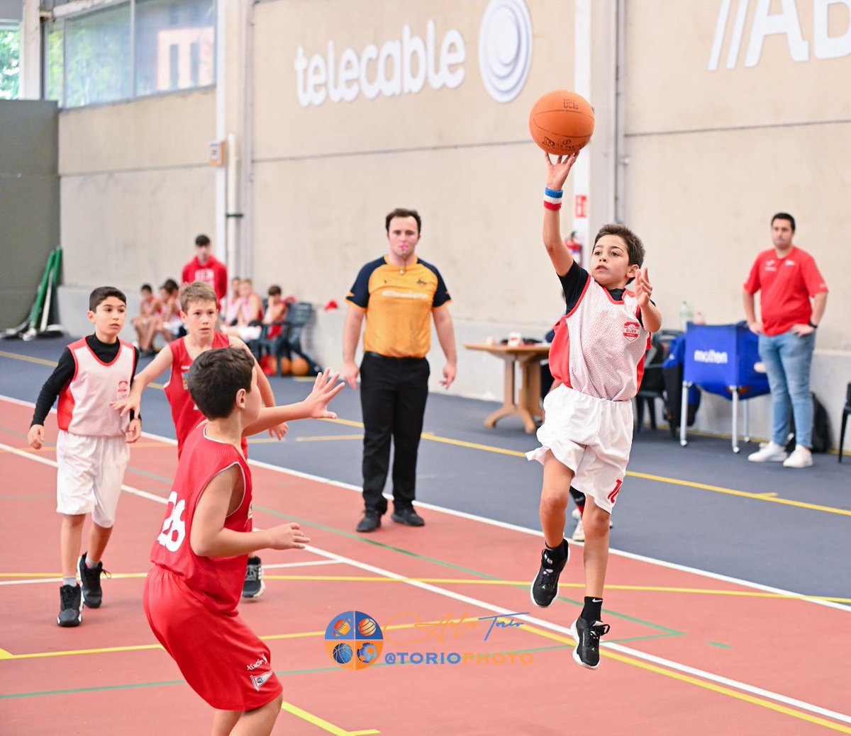 Otro dia en la oficina….
Hoy tocó alevines de Copa de la <a href="/FBPA_asturias/">Federación de Baloncesto Pdo. de Asturias</a> entre <a href="/RGCCBaloncesto/">Real Grupo de Cultura Covadonga Baloncesto</a> 🆚 <a href="/GijonBasket/">Gijón Basket</a> 
#deportes #fotografia #toriophoto #pics