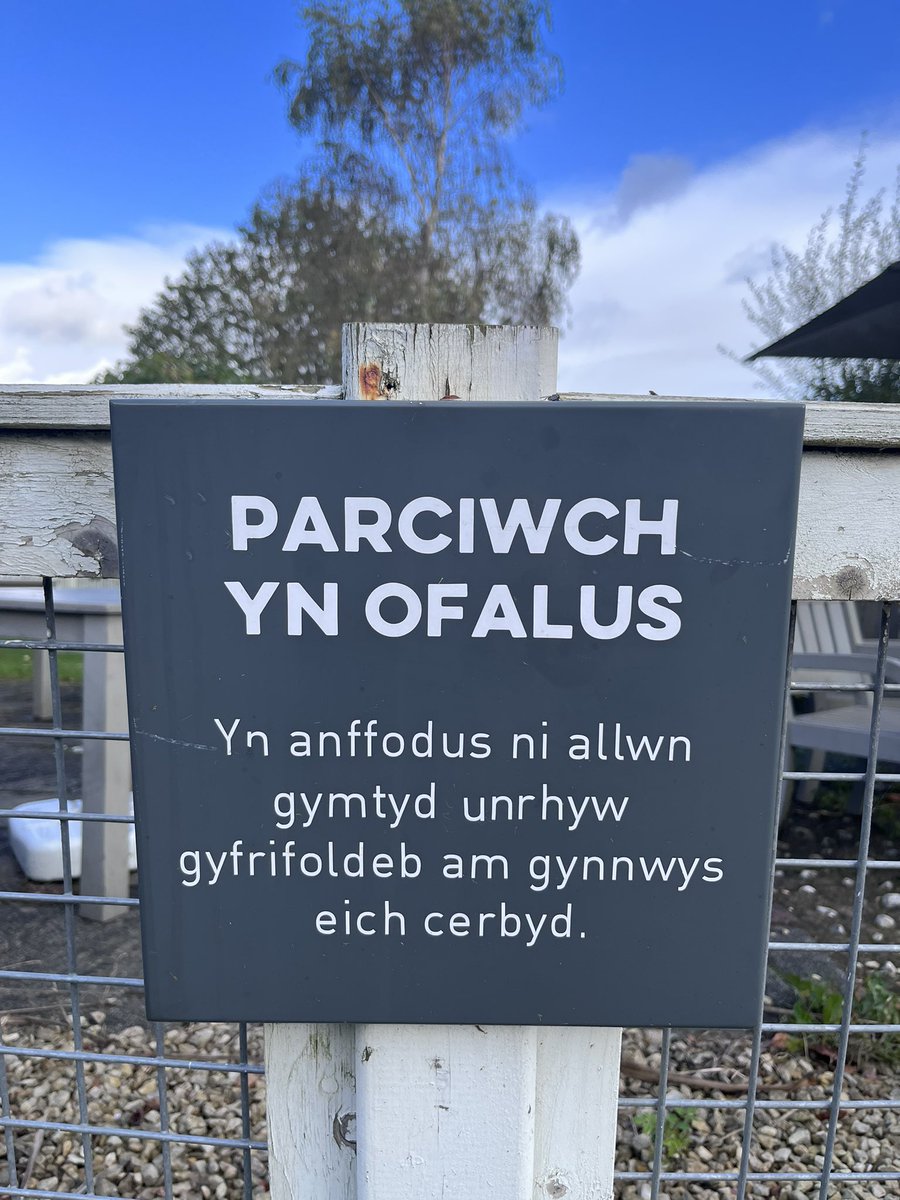 Sir Wayne tweet media