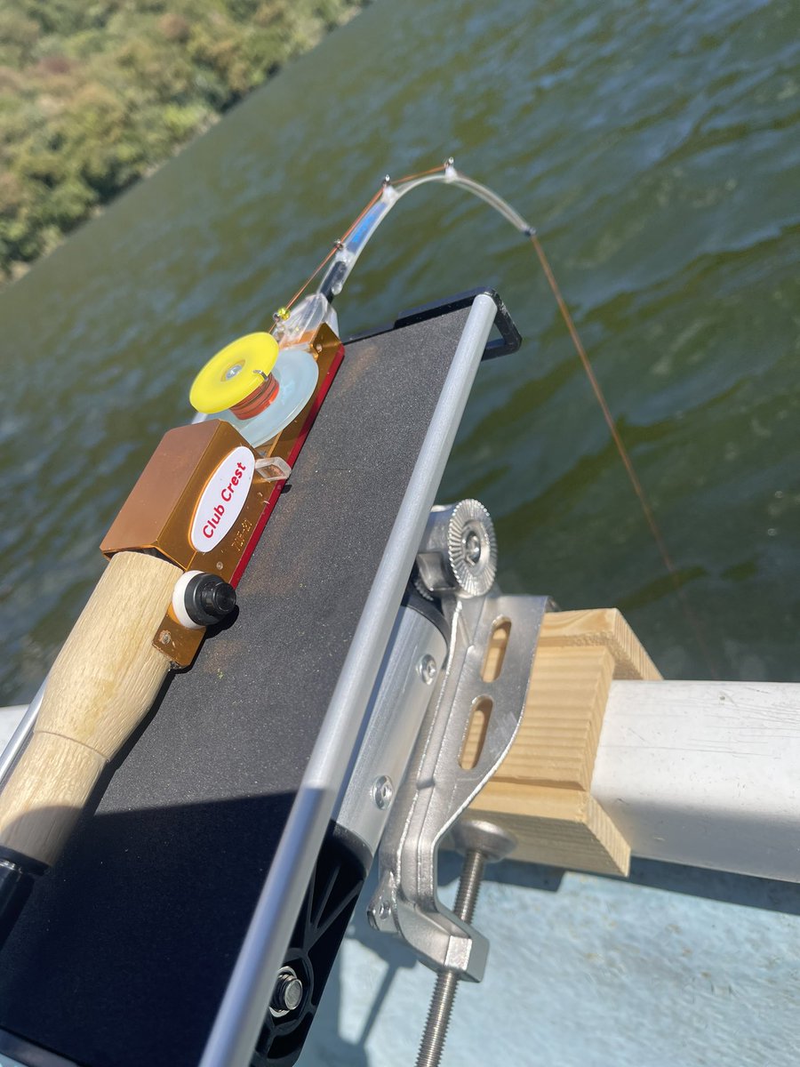 goodpy0930's tweet photo. 津久井湖ワカサギ
魚探が真っ白……から
真っ赤っか……
また真っ白
また真っ赤っか
良い釣りでした。
#ワカサギ
#わかさぎ
#Clubcrest
#CRYSTIA
#VARIVAS
#BMO https://t.co/QsUMqLnv13
