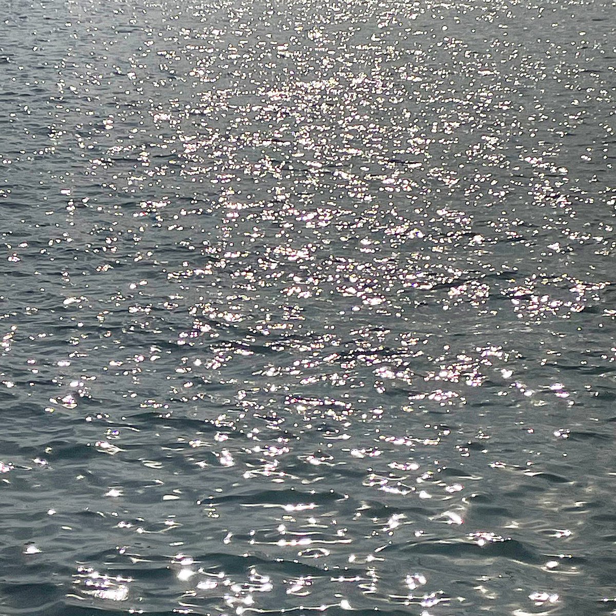 윤슬보고 차니 생각났어 🌊🌊