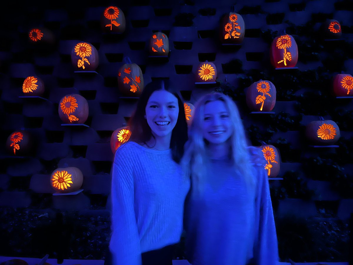 Ashley Perkinson tweet media