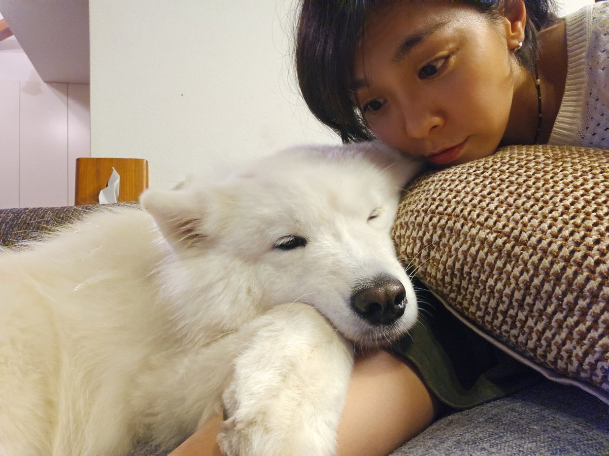 甘えん坊でかわゆいのです。