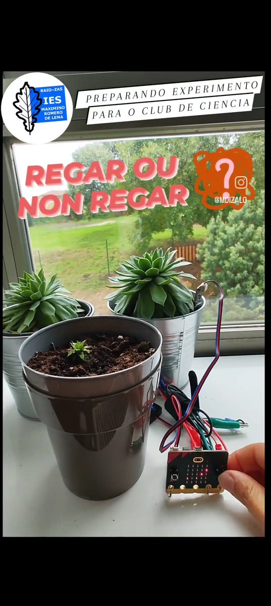 mdizalo's tweet image. Regar ou non regar, esa é a cuestión. 🤔 Preparando experimento para o club de ciencia. 🌱🚿 #microbitprojects #iesmaximiniromeridelema #clubdeciencia