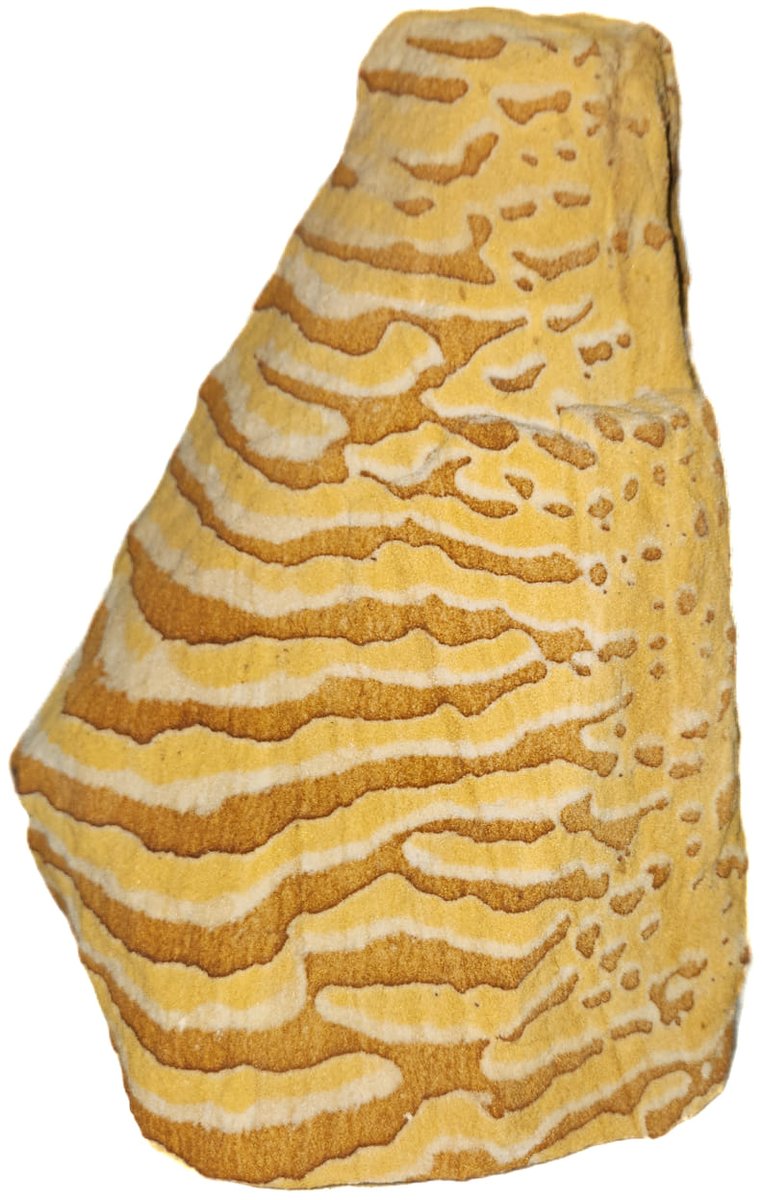 Illinois State Museum tweet media