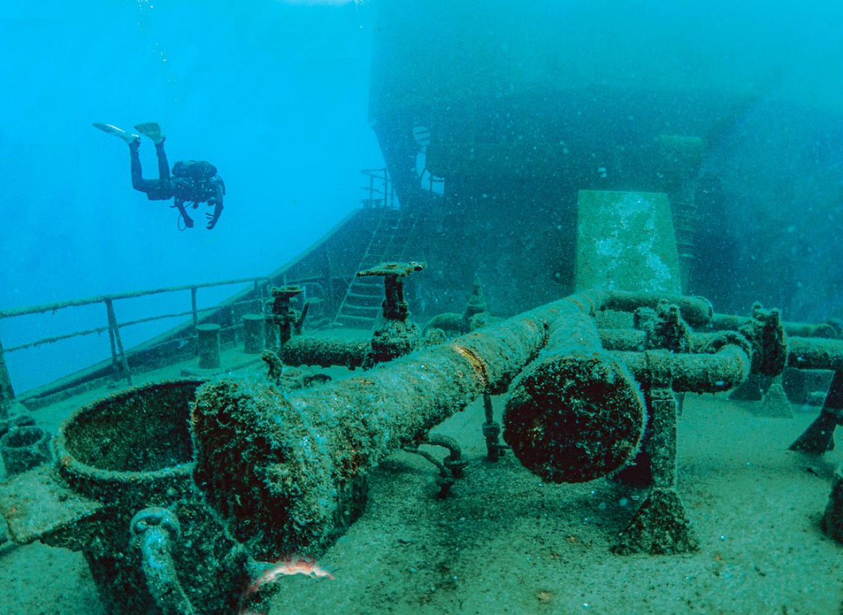 Dive Hotspots: Saba, Malta and Loreto⁠ ⬇️⁠
⁠⁠
Read more: padi.co/me2o6jzi
⁠
🖊 : @terrywardwriter
📸: A diver inspects the wreck of the 377-foot Um El Faroud oil tanker. @robatherton OB

#saba #malta #loreto #wreckdiving #divetravel #divehotspots