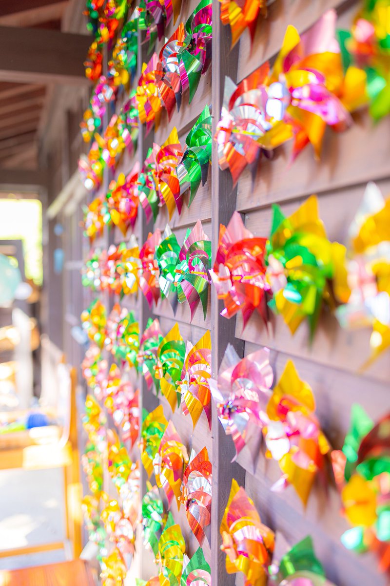 能古島に行ってきたー🌸コスモス満開✨️
レトロな昔懐かしのおもちゃ屋さん？みたいなところもあって雰囲気とても良きでした☺️
季節によっていろんなお花が咲くらしいのでまた行きたいな❤️