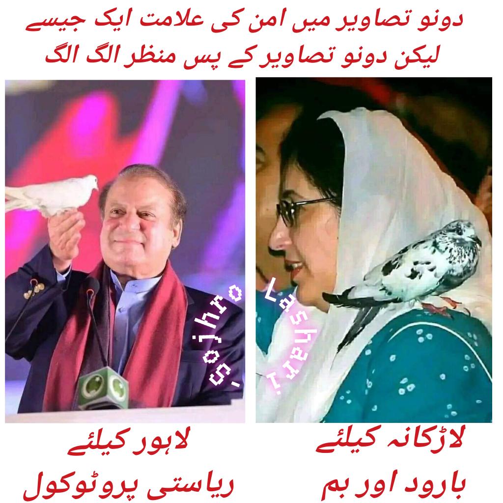 SojhroLashari's tweet photo. تصاویر میں امن کی علامت ایک جیسے
لیکن دونو تصاویر کے پس منظر الگ الگ
لاڑکانہ کیلئے بارود اور بم
لاہور کیلئے ریاستی پروٹوکول اور پھول https://t.co/wUGXEiftSe