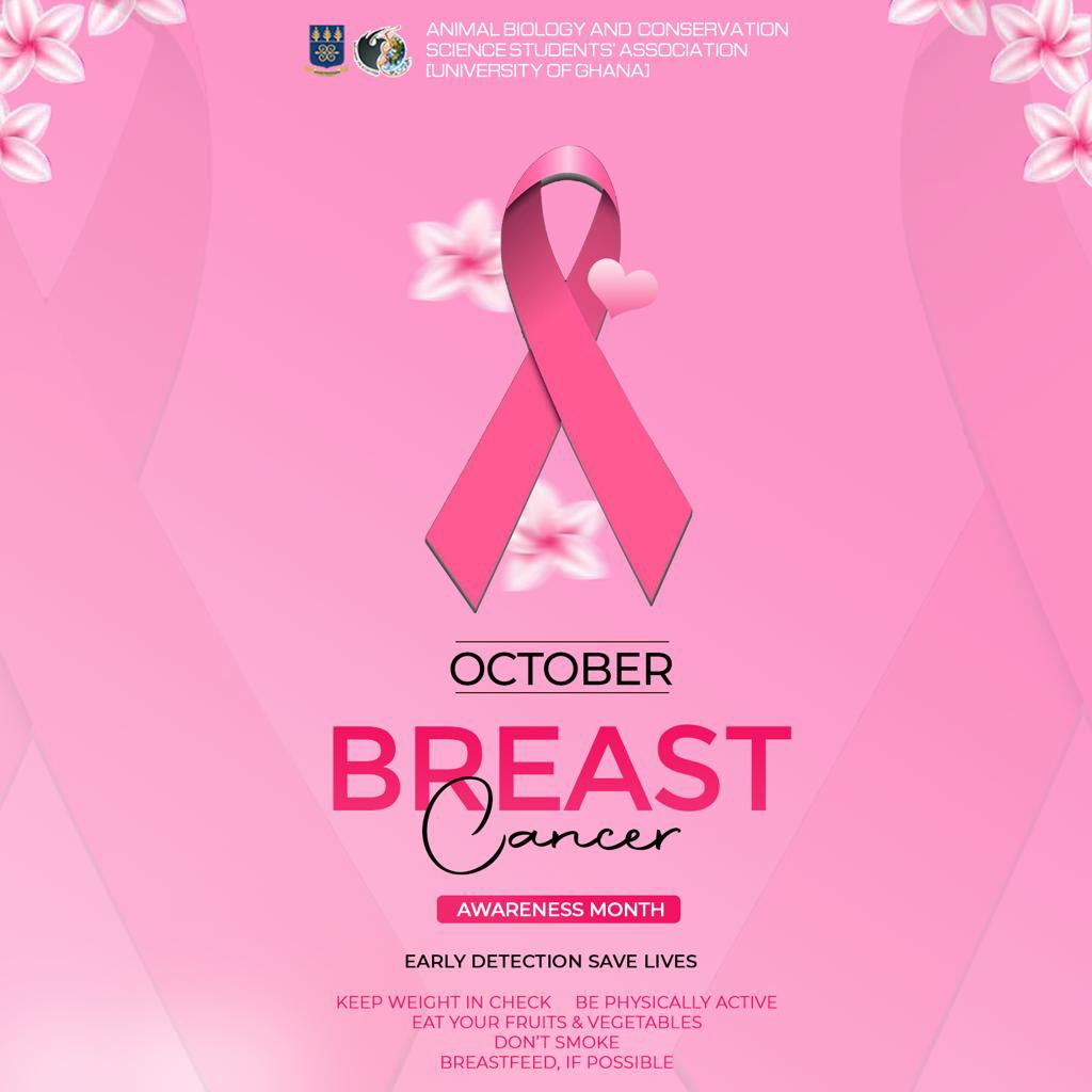 abcossa_ug's tweet photo. "United in hope, we rise. Here's to warriors in pink
•:Join us in raising awareness for breast cancer. Let's stand united, spread knowledge and support those affected #BreastCancerAwareness" https://t.co/fOKfncuagG