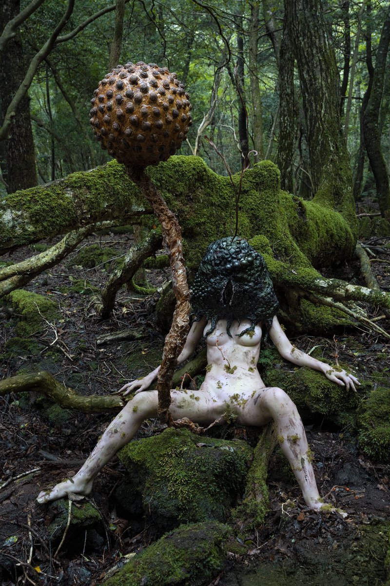 KAPPA_RYU tweet media