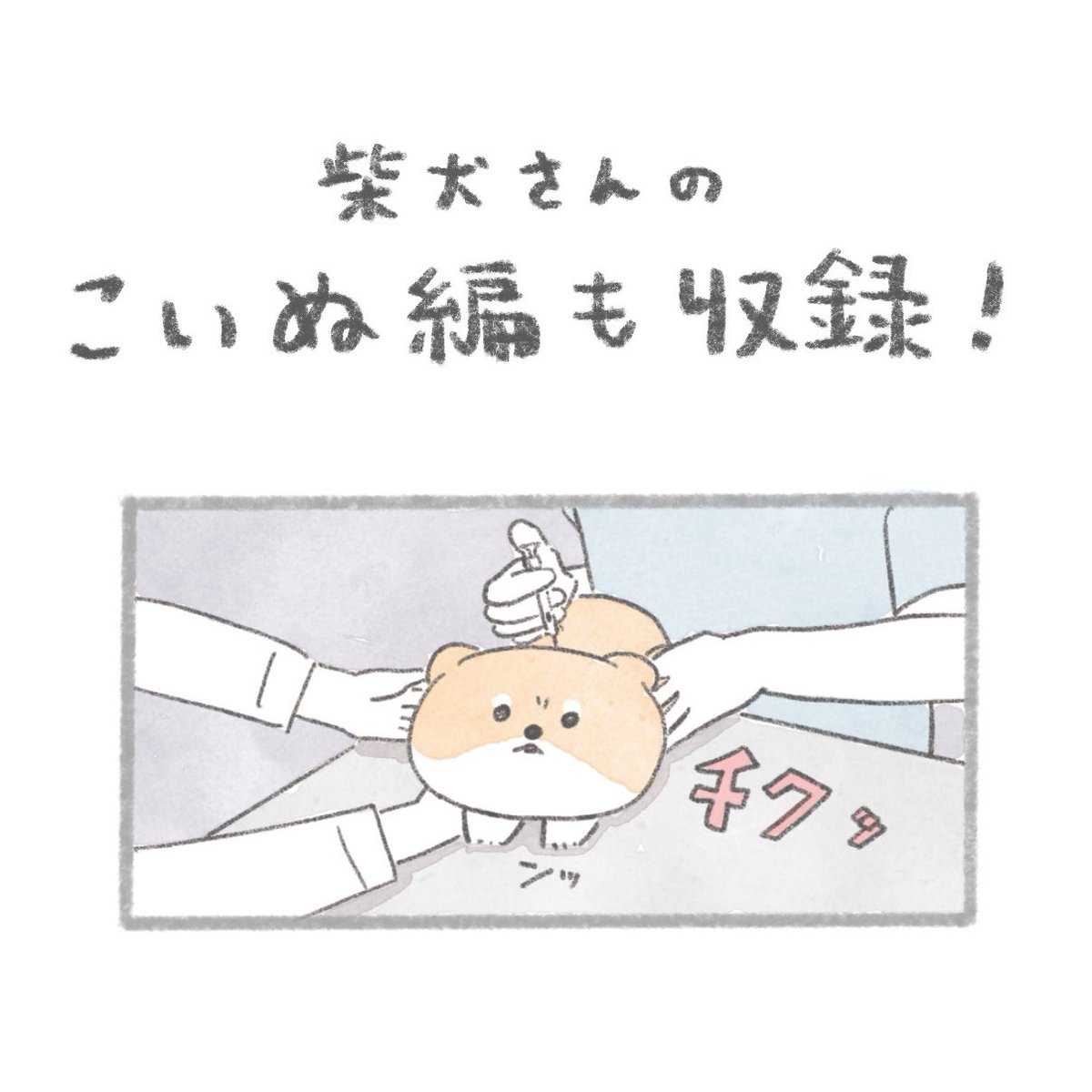 4巻好評発売中です!
お迎え報告もありがとうございます!
嬉しいです〜🐶💨 
