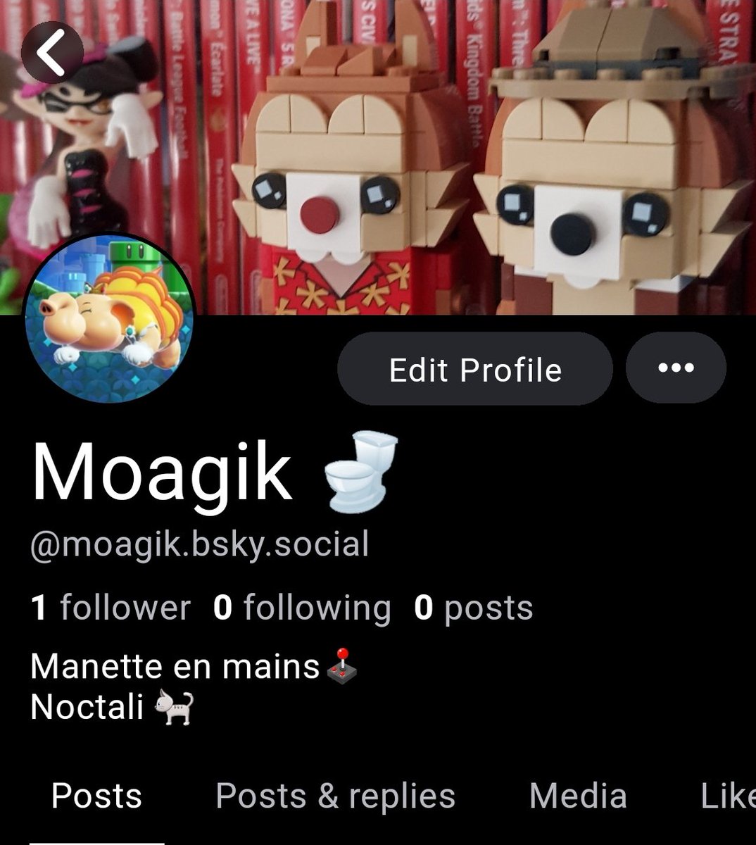Moagik 🚽 tweet media