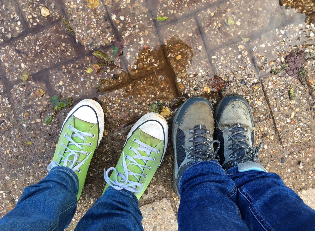 Groeneschoenen tweet media