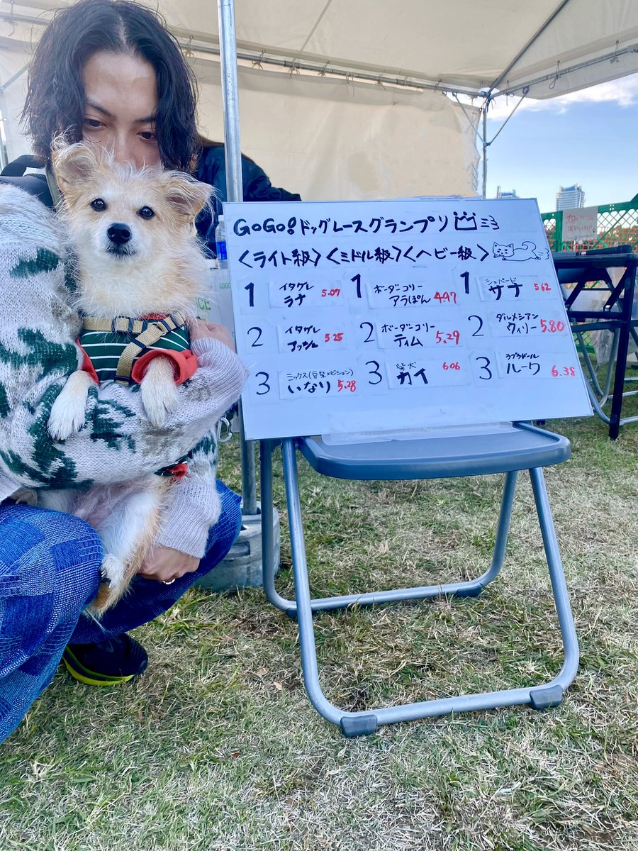 itsukisan's tweet photo. いなりさん、やりました🦊
50mレースで、5.28秒を記録！
いなりは、3才（人間でいうと28歳）
体力ピークは超えているのに最高到達点キメたのが本間がんばった！
 #gogodogfes
#どっぐれーす https://t.co/PndUPqkoZn